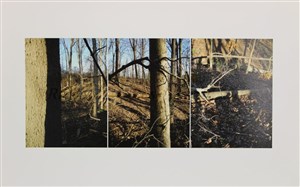 Image description is not available for 2019.025